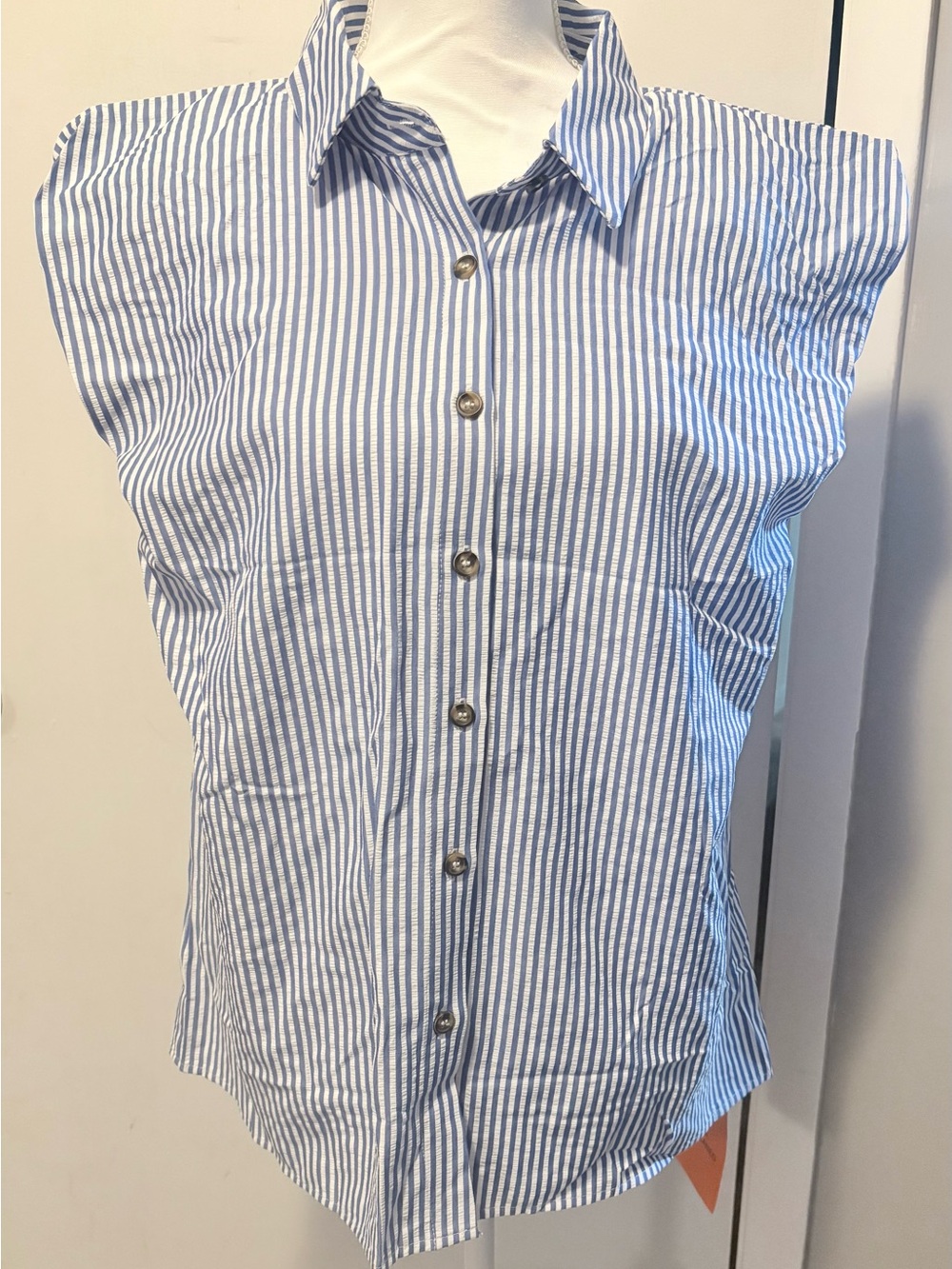 Blue and White Pinstripe Button Down